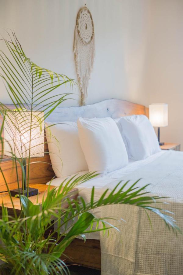 Maculan Hotel Valladolid  Luaran gambar